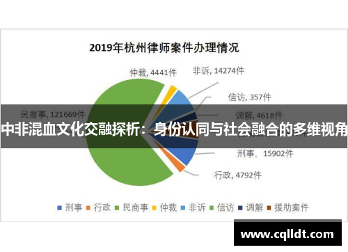 中非混血文化交融探析：身份认同与社会融合的多维视角